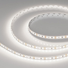 Светодиодная лента RT-A120-8mm 12V Day5000 (9.6 W/m, IP20, 5m) (Arlight, Открытый) Lednikoff