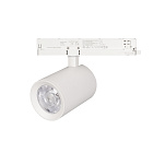 Светильник LGD-NIKA-4TR-R100-30W Warm3000 (WH, 24 deg, 230V) (Arlight, IP20 Металл, 5 лет) Lednikoff