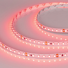 Светодиодная лента RT 2-5000 24V Red 2х (3528, 600 LED, LUX) (Arlight, 9.6 Вт/м, IP20) Lednikoff