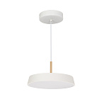 Светильник SP-ELEGANT-R300-17W Day4000 (WH, 120 deg, 230V) (Arlight, IP20 Металл, 3 года) Lednikoff