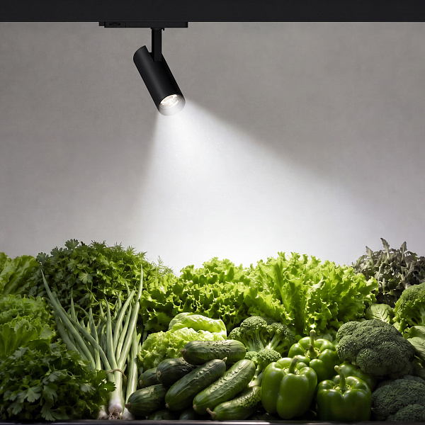 Светильник LGD-GERA-4TR-R74-20W Day SP5000-Veg (Белый, 55 deg, 230V) (Arlight, IP20 Металл, 5 лет) Lednikoff