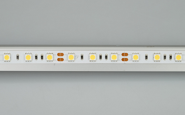 Светодиодная лента RT 2-5000 12V White6000 2x (5060, 300 LED, LUX) (Arlight, 14.4 Вт/м, IP20) Lednikoff