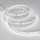 Светодиодная лента RT-A98-8mm 24V Day5000 CRI98 (10 W/m, IP20, 2835, 5m) (Arlight, Открытый) Lednikoff