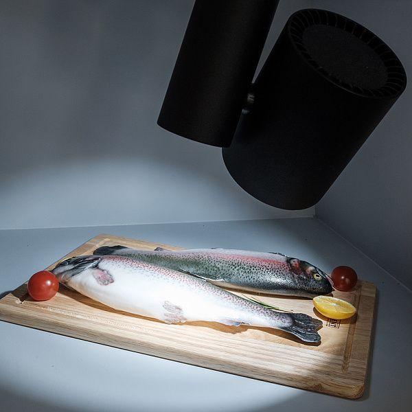 Светильник LGD-SHOP-4TR-R100-40W Cool SP7500-Fish (BK, 24 deg) (Arlight, IP20 Металл, 3 года) Lednikoff