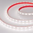 Светодиодная лента герметичная RTW-PS-B60-12mm 12V White6000 (14.4 W/m, IP67, 5060, 5m) (Arlight, 14.4 Вт/м, IP67) Lednikoff