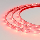 Светодиодная лента герметичная RTW-PS-B30-13mm 24V RGB (7.2 W/m, IP67, 5060, 5m) (Arlight, 7.2 Вт/м, IP67) Lednikoff