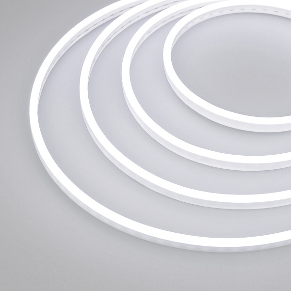 Образец Гибкий неон GALAXY-1206-5000CFS-2835-100 12V White 0.5M (12x6mm, 12W, IP67) (Arlight, 12 Вт/м, IP67)