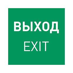Пиктограмма EMGP-MARK-EXIT-FLAG (Выход) (Arlight, Пластик)