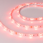 Светодиодная лента RTW 2-5000SE 12V Red (5060, 150 LED, LUX) (Arlight, 7.2 Вт/м, IP65) Lednikoff