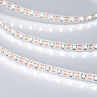 Светодиодная лента RT 2-5000 12V Cx1 Day5000 2x (5060, 360 LED, CRI98) (Arlight, 16.8 Вт/м, IP20) Lednikoff