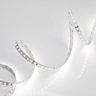 Светодиодная лента RT 2-5000 24V Day4000 2x (3528, 600 LED, LUX) (Arlight, 9.6 Вт/м, IP20) Lednikoff